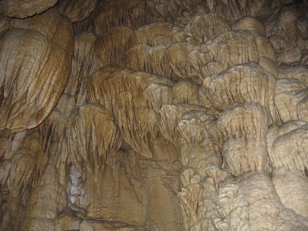 Oregon Caves 5