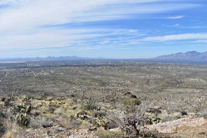 View of Tucson 