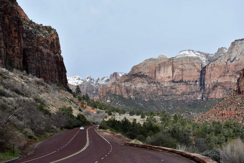 Road winding through Zion Canyon