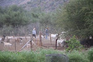 Santo Domingo Ranch