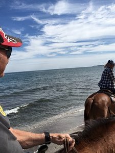 Sea of Cortez Horseback Riding