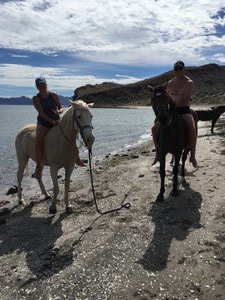 Sea of Cortez Horseback Riding