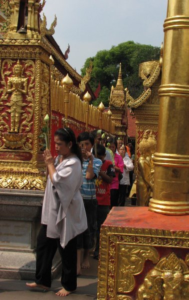 A line of people worshiping Golden Chedi by walking  around it.