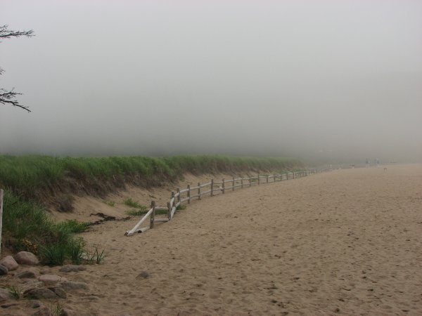 Foggy beach at Sand beach