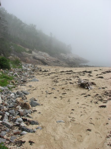 the beach leading to trailhead