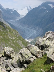 views of glacier from the mountain trail
