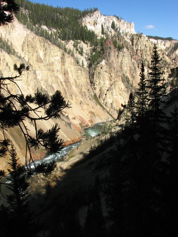 Valley on the lower Yellowstone Falls side