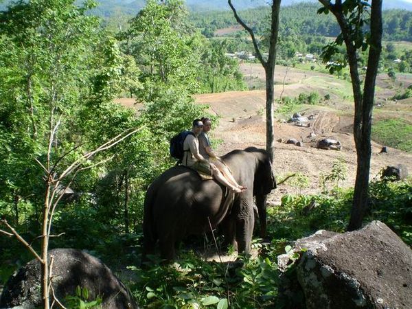 our elephant trek