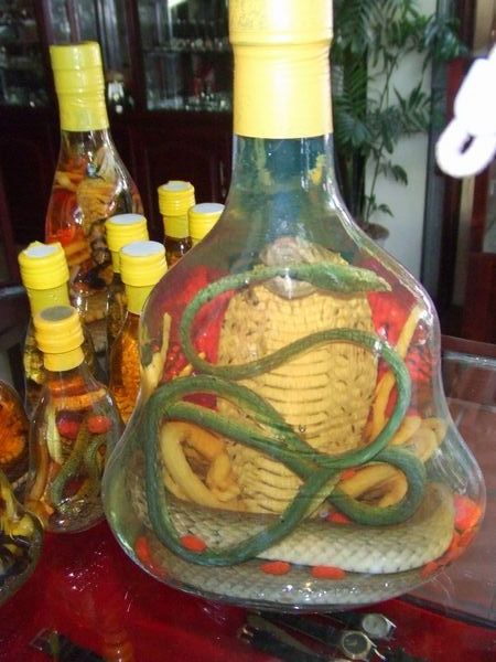 Snake wine makes you....