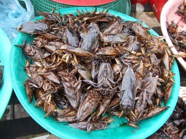 Deep fried roaches anyone?
