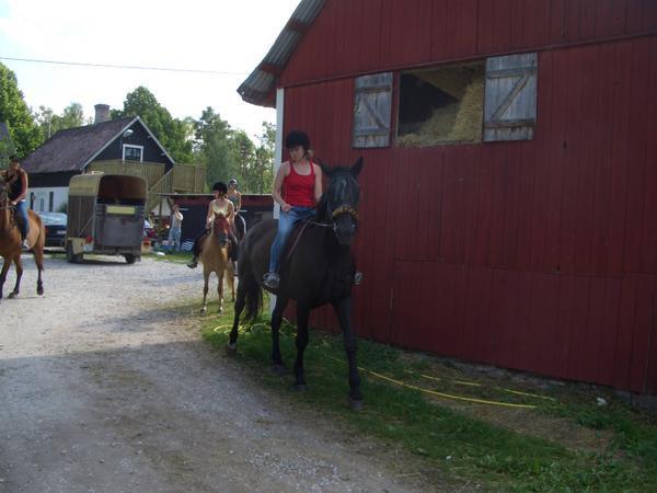 Riding the horses