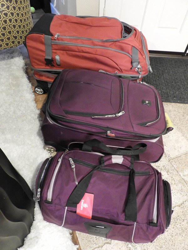 Three Bags for Shlepping | Photo