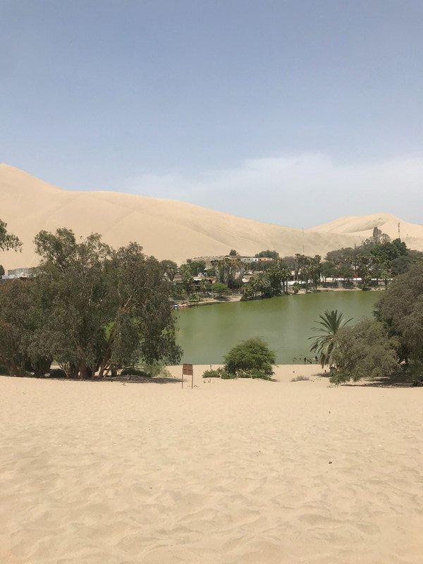 The oasis in the desert