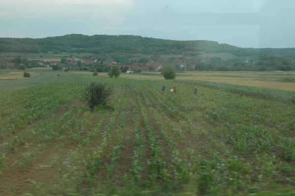The Passing Serbian Countryside