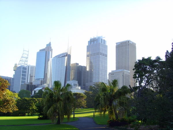 City from Botanical Gardens