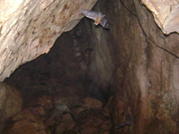 In the bat cave.