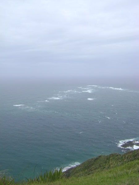 Cape Reinga. Where the Tasman Sea meets the Pacific Ocean.