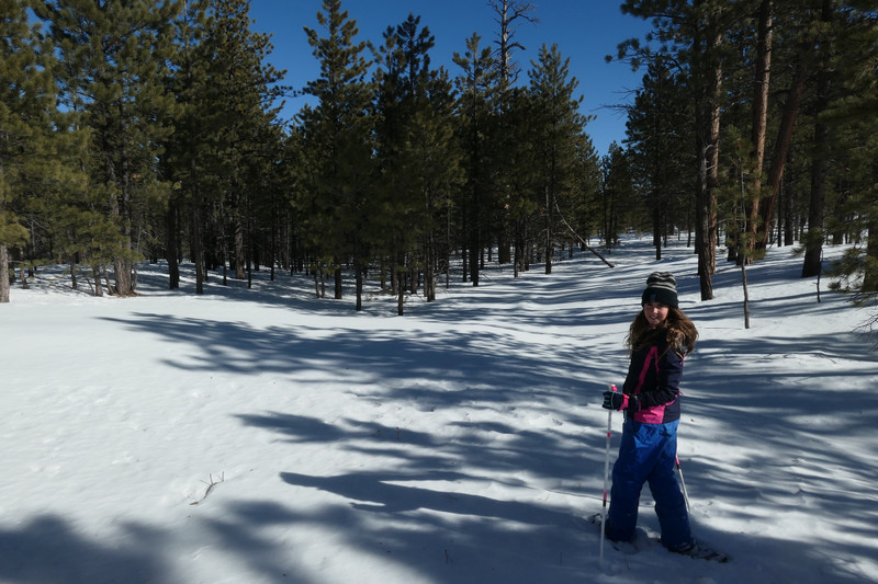 Ok, you win, snow-shoeing it is!