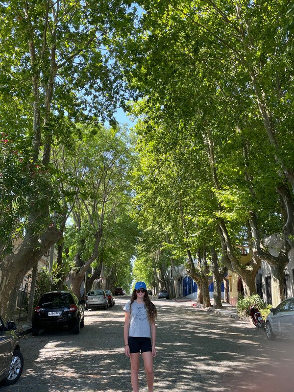 Beautiful tree-lined streets