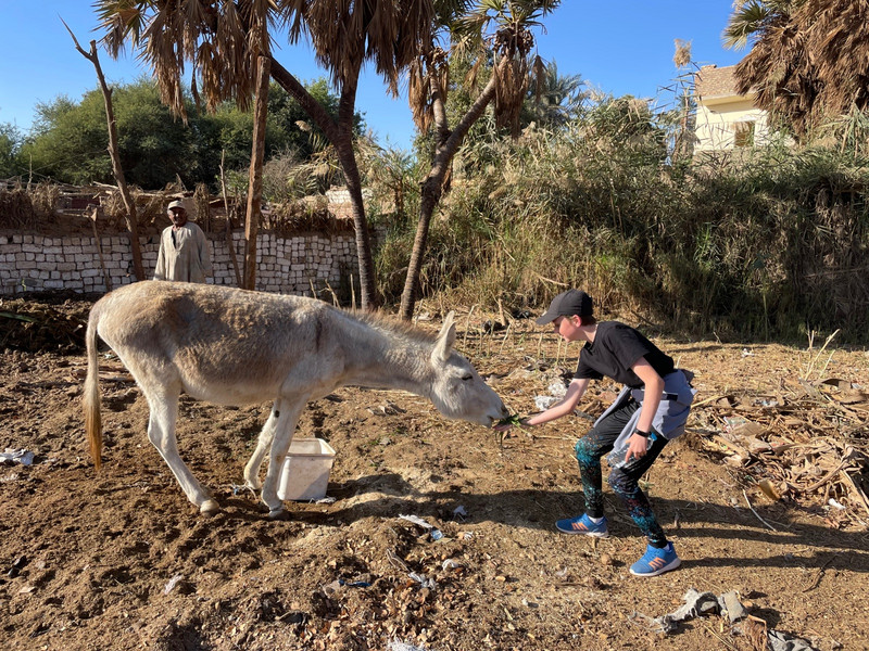 Making friends with the donkey
