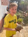 Crapping tortoise