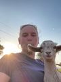 Lamb selfie