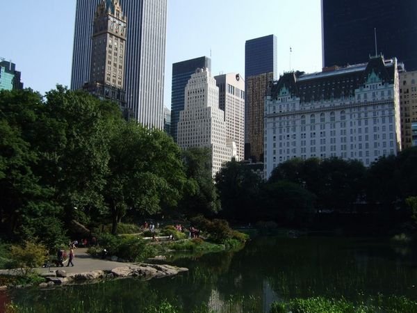 The City from Central Park