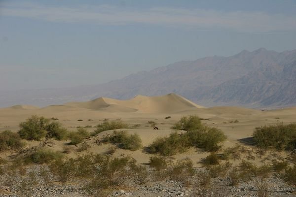 Sand Dunes.