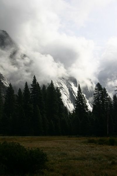 Taken from the valley floor ( Yosemite Meadow ).