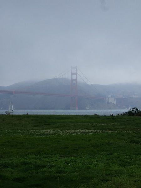 Foggy Golden Gate Bridge.