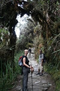 Cloud forest trail.