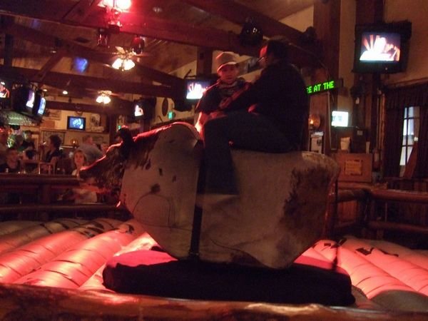 Bull riding in the Saddle Ranch