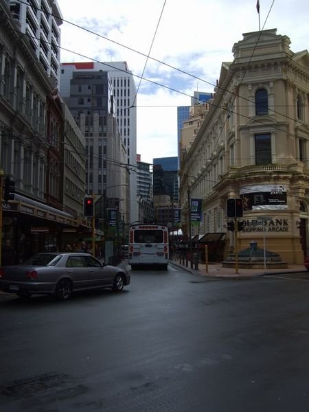 A typical street in Wellington.