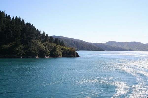 South island Sounds from the ferry.