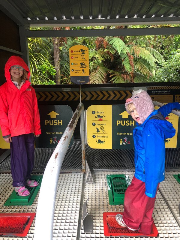 Kauri Forest cleaning station