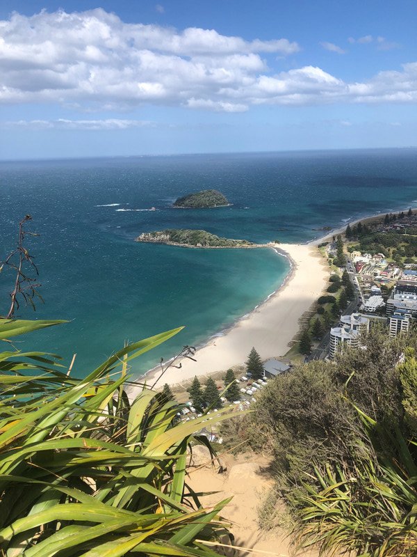 View from the top of Mt. Maunganui