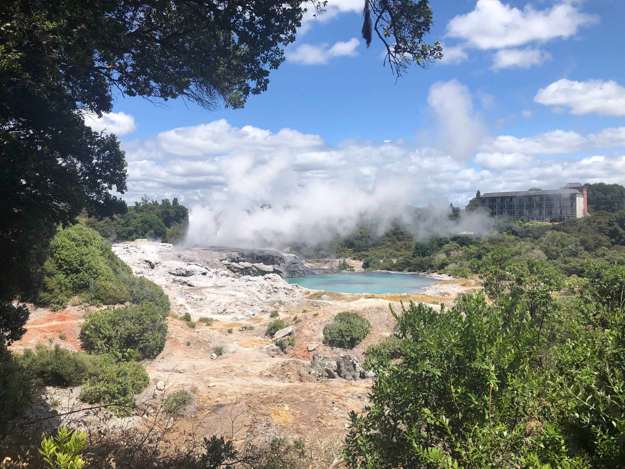 Whakarewarewa - Rotorua hot springs | Photo