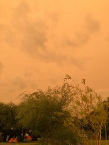 Orange sky - Tutukaka
