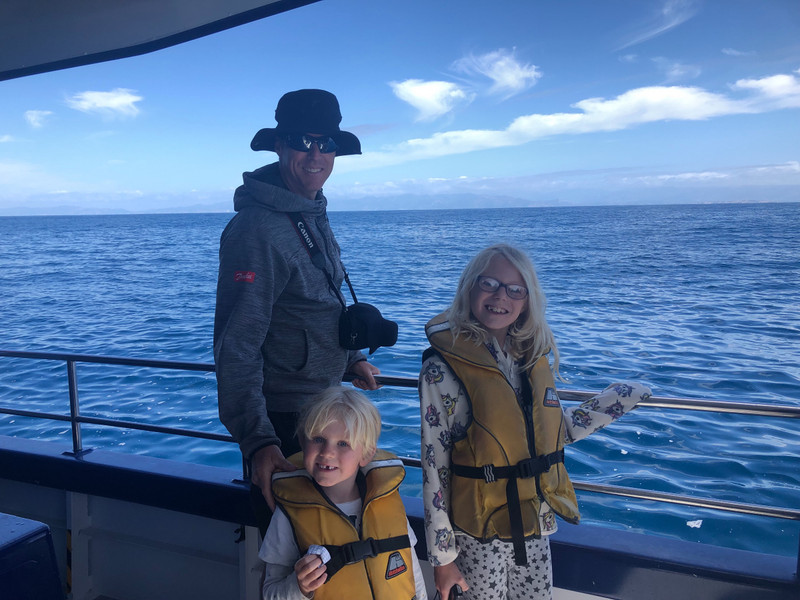 Whale watching off the coast of Kaikoura