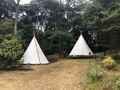 Cool teepees in the forest