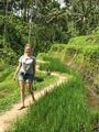 Path along the rice terrace