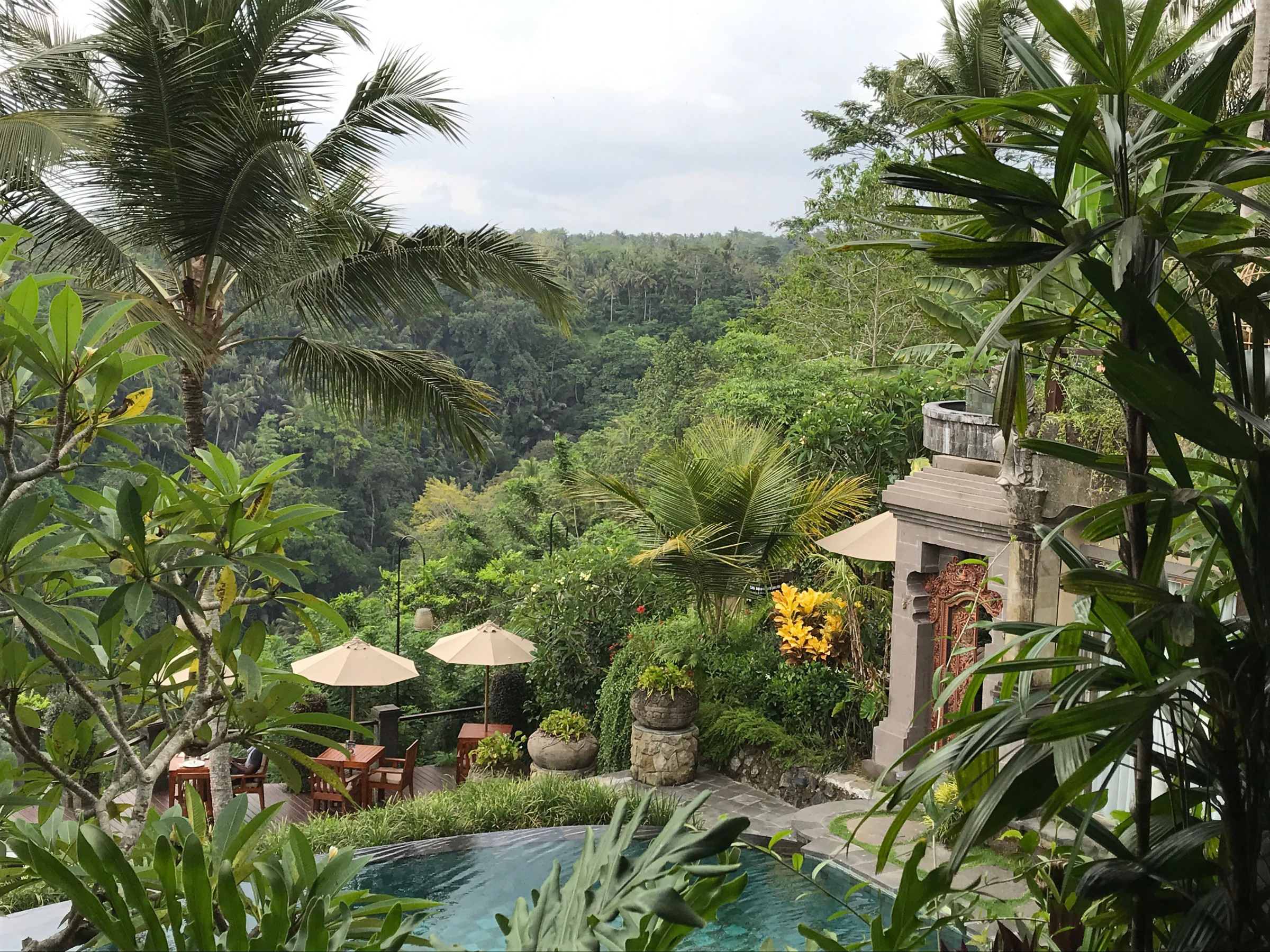 View from the Restaurant | Photo