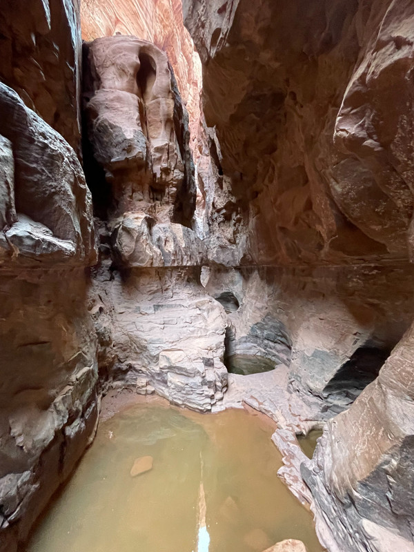 Rare Water in Wadi Rum