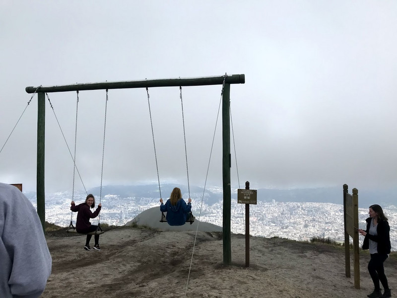 The swings and view