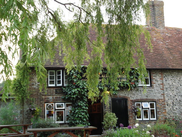 Cricketers arms