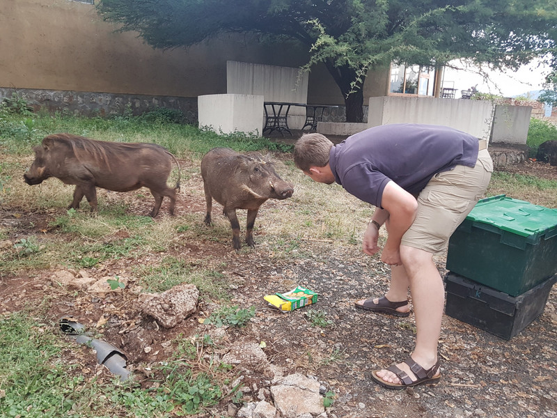 Trying to kiss a Warthog