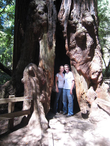 We're standing in a Tree!