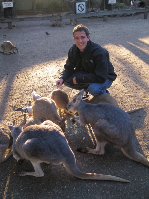 Brian w/ the Roos and Wallabies