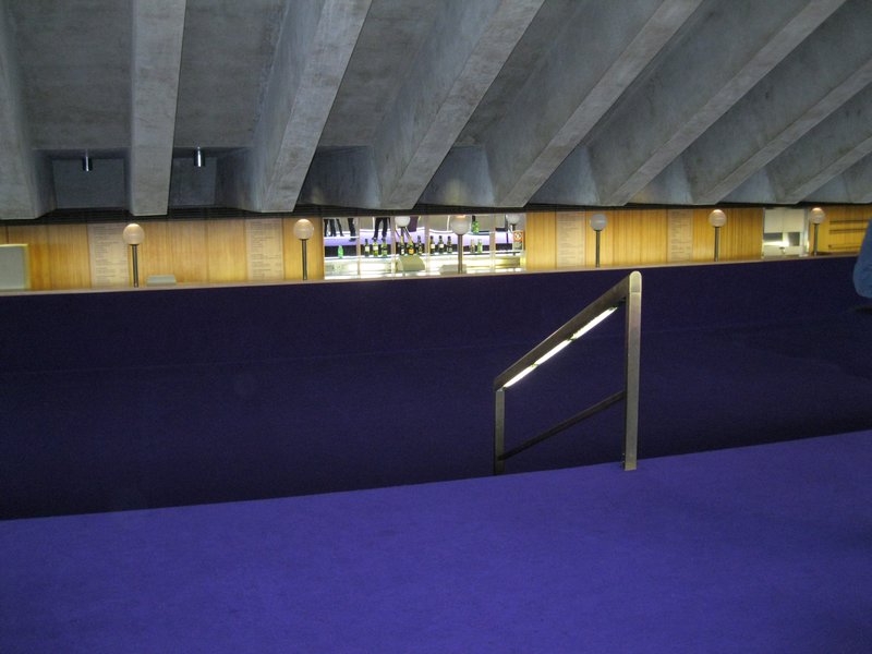 Purple Carpet in Opera House