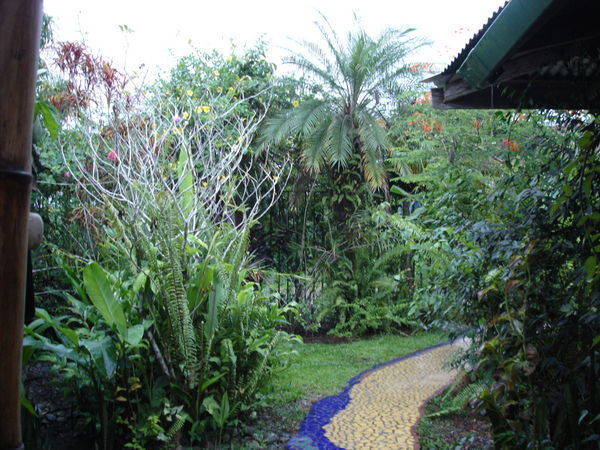 Jacaranda gardens